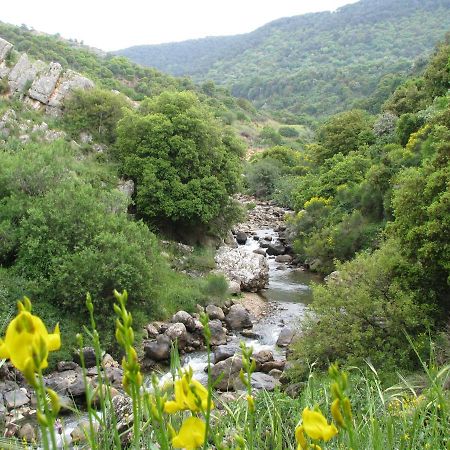 Tourism In The Village Ein Kinya Экстерьер фото