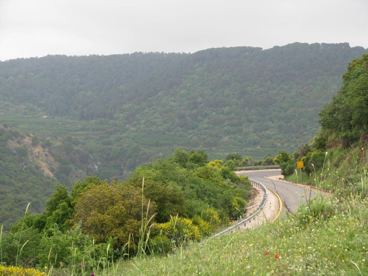 Tourism In The Village Ein Kinya Экстерьер фото